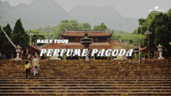 [BNT-HN05] 1 DAY PERFUME PAGODA