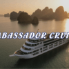 [BNT-CRDL8] 1 DAY AMBASSADOR CRUISE