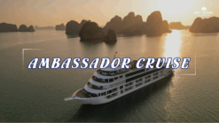 [BNT-CRDL8] 1 DAY AMBASSADOR CRUISE