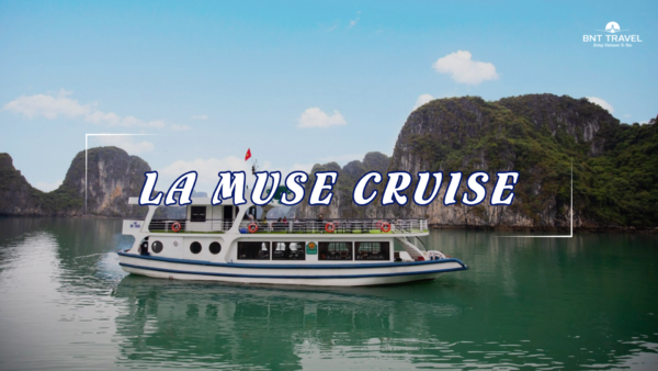 [BNT-CRDL12] 1 DAY LA MUSE CRUISE