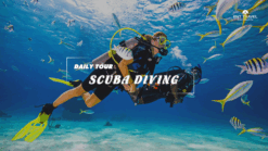 [BNT-NT05] SCUBA DIVING TOUR