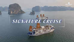 [BNT-CRLUX10] 2D1N SIGNATURE CRUISE