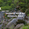 [BNT-DN01] 1 DAY BACH MA NATIONAL PARK FROM DA NANG