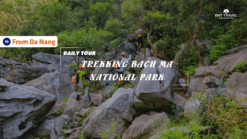 [BNT-DN01] 1 DAY BACH MA NATIONAL PARK FROM DA NANG
