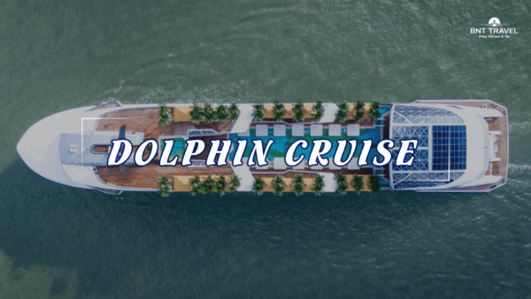 DAILY DOLPHIN CRUISE