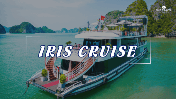 DAILY IRIS CRUISE