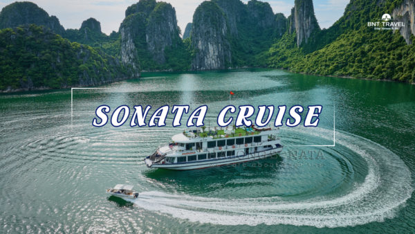 [BNT-CRDL4] DAILY SONATA CRUISE