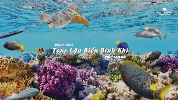 [BNT-ND50] TOUR LẶN BIỂN BÌNH KHÍ (Lặn bình khí (15') + ăn trưa + Vịnh San Hô 2)